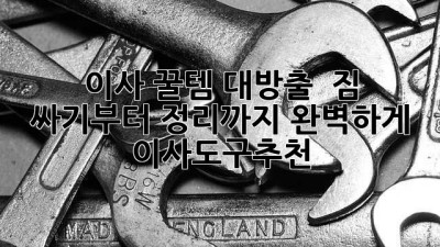 이사 꿀템 대방출! 📦 짐 싸기부터 정리까지 완벽하게! #이사도구추천