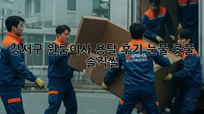 강서구 원룸이사 용달 후기🏠 눈물🥹 콧물😭 솔직썰!