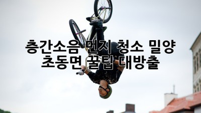 💥 층간소음 먼지 청소, 밀양 초동면 꿀팁 대방출! 🏡✨